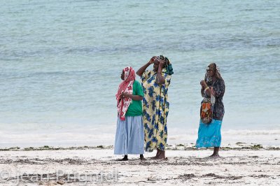 Zanzibar