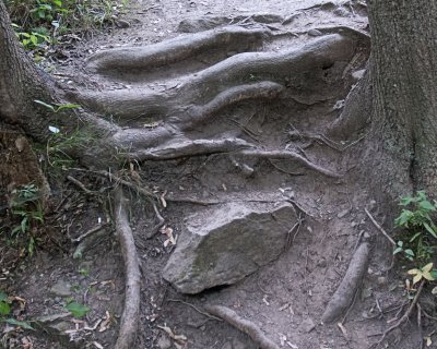 CG 8