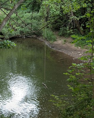 CG 11