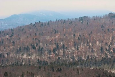 Mt. view 8