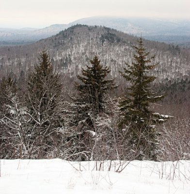 Mt. view