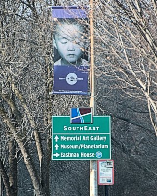 DSC_0271.jpg