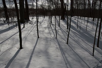 winter