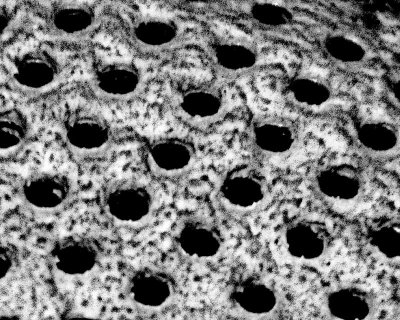 8 Closeup / Abstract