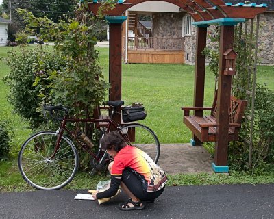 Bikes 1