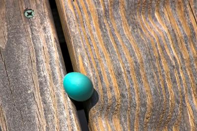 robin's egg