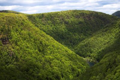 Pine Creek Gorge