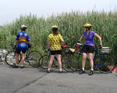 Bike Chicks