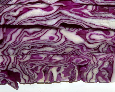 red cabbage II