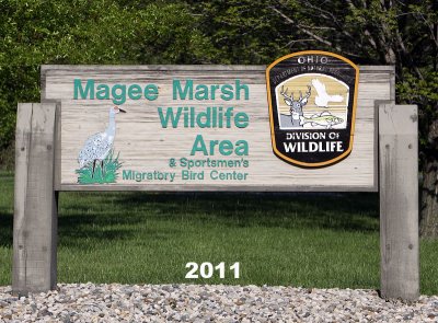 magee_marsh_wildlife_area_port_clinton_ohio_2011