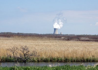 Magee Marsh wetlands with Davis-Bettsy power plant in the back ground