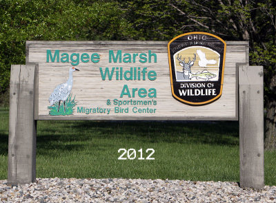 Magge Marsh 2012