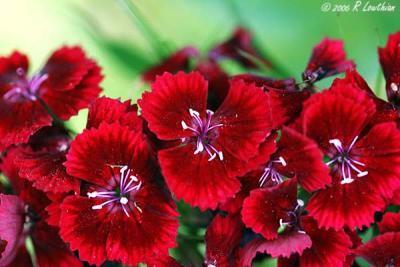 PB_IMG_7117a.jpg