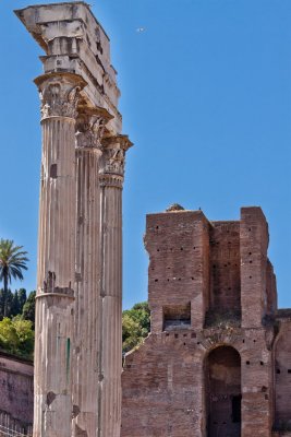 Temple of Castor and Pollux