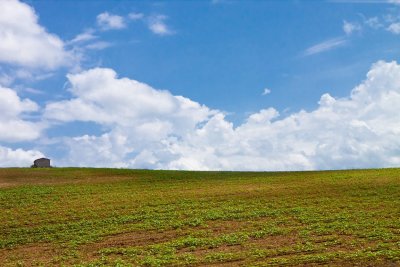 Tuscan Landscape