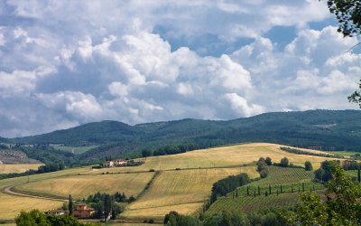 Tuscan Landscape