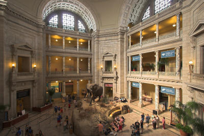 Smithsonian Natural History and American History Museums