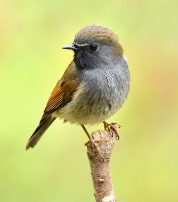 DSC_8262aaa.jpg