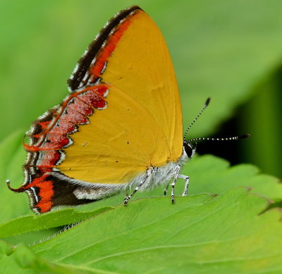 DSC_4304aaa.jpg
