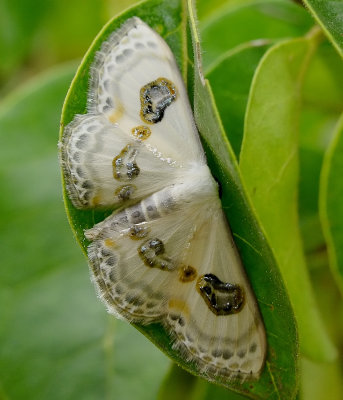 DSC_4541aaa.jpg