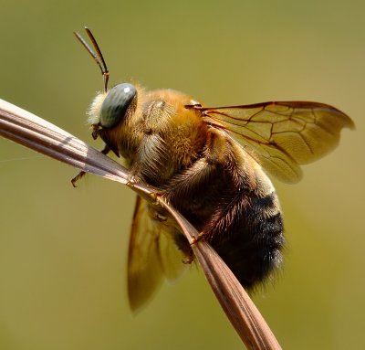 DSC_7551aaa.jpg