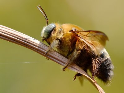 DSC_7615AA.jpg