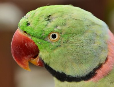 DSC_1301mmm.jpg