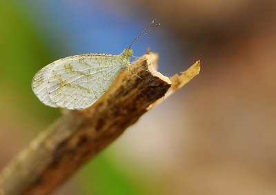 DSC_3949aaa.jpg