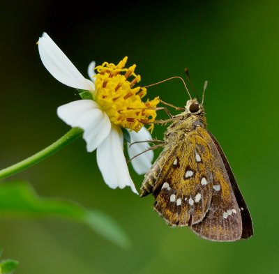 DSC_6850aaa.jpg