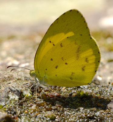 DSC_6735aaa.jpg