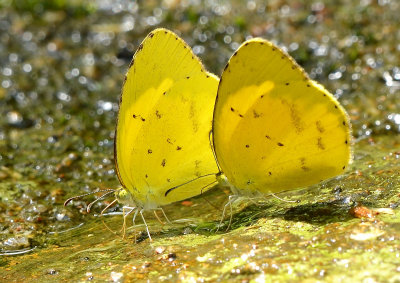 DSC_6754bba.jpg