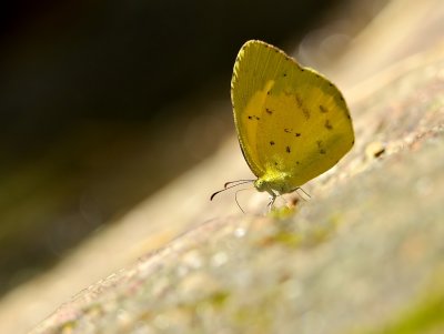 DSC_6832ccc.jpg