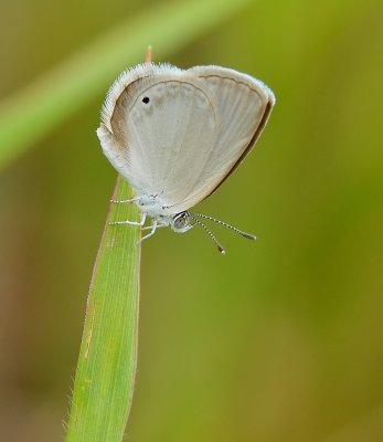 DSC_3051aaa.jpg
