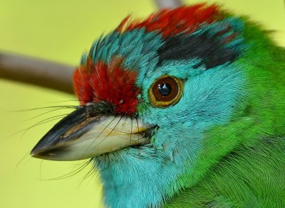 DSC_5077bb1.jpg