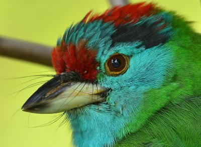 DSC_5077bb2.jpg