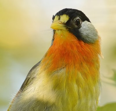 DSC_5209aaa.jpg