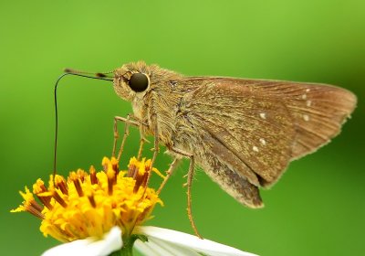 DSC_0836aaaa.jpg