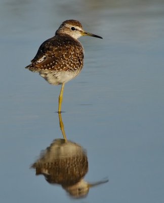 DSC_3711aaa.jpg