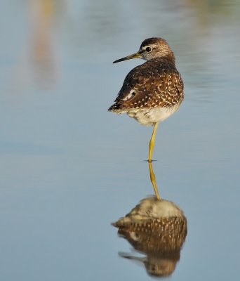 DSC_3741aaa.jpg
