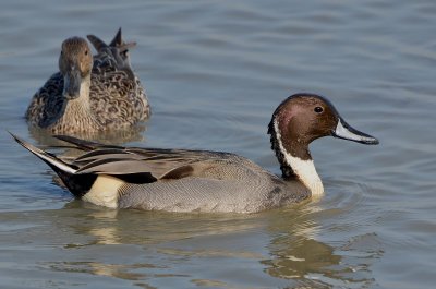 DSC_4853AAA.jpg