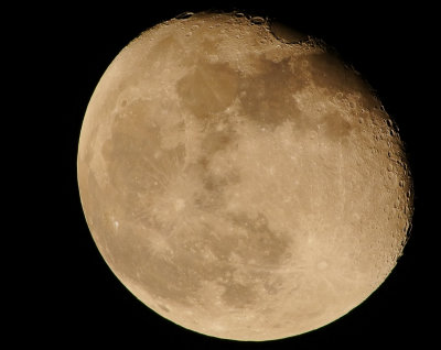 DSC_8505aaa.jpg