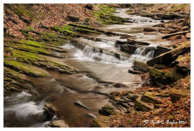 Smithtown Creek