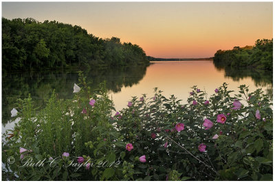 Golden Dawn at Lake Galena