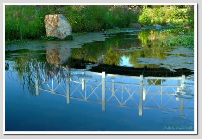 Garden Reflections   (over 910)