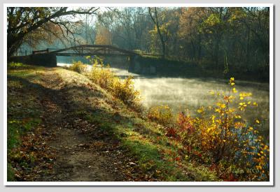 Misty Autumn MorningAlong the Canal