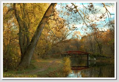 Autumn Along the Canal (over 506)