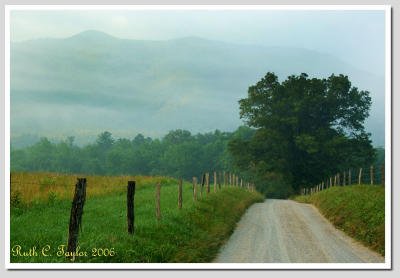 Country Lane