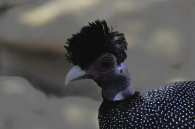 g4/58/585858/3/137773200.lrr8ydfr.jpg