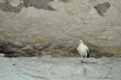 San Antonio Zoo 2011