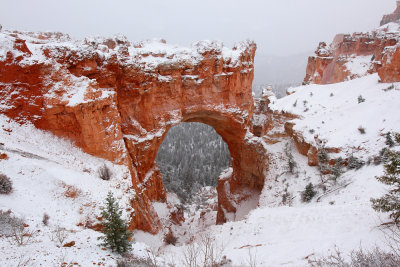 Bryce Canyon    image1960